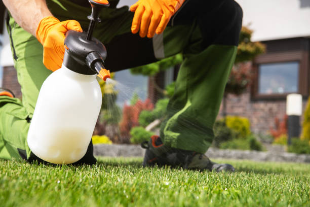 Best Local Pest Control Services  in Ardia, CA