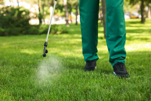 Flea Control Services in Arcadia, CA