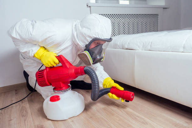 Best Flea Control Services  in Ardia, CA