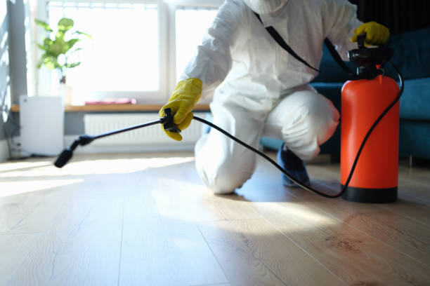 Best Pest Inspection Near Me  in Ardia, CA