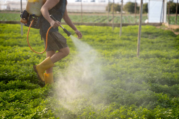 Best Commercial Pest Control Services  in Ardia, CA