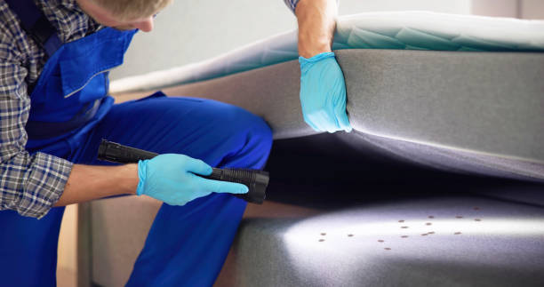 Best Cockroach Control Services  in Ardia, CA