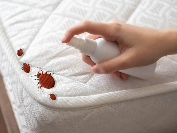 Professional Pest Control in Arcadia, CA