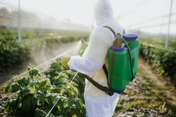 Best Affordable Pest Control Services  in Ardia, CA